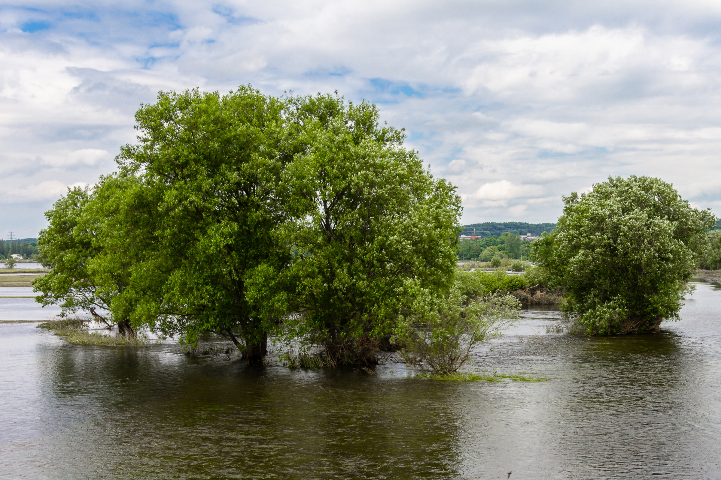 geesthacht (2).webp